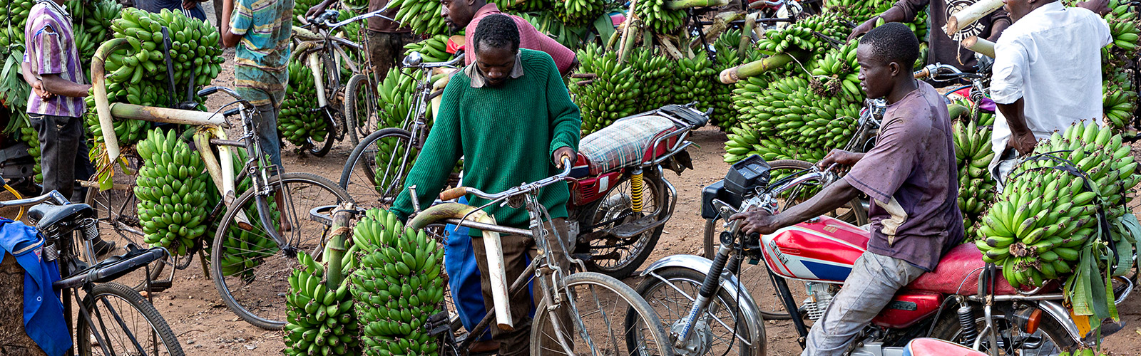 Banana Market