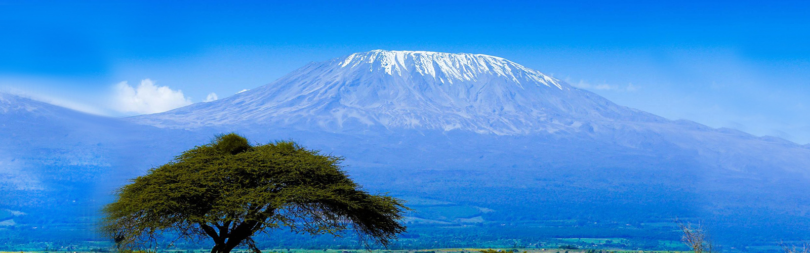 Kilimanjaro